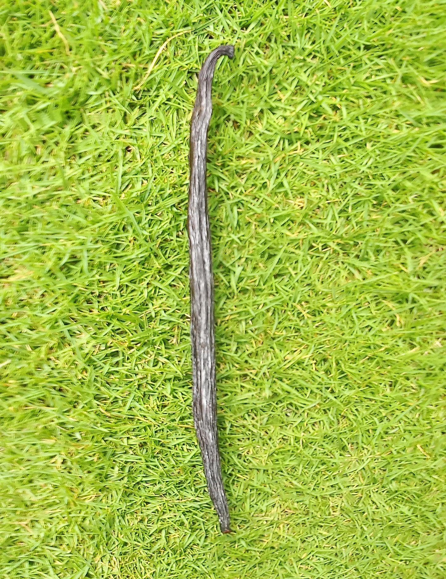 Original Madagascar Black Vanilla Pod Stick