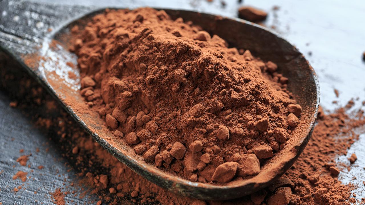 Barry Callebaut Dark Cocoa Powder