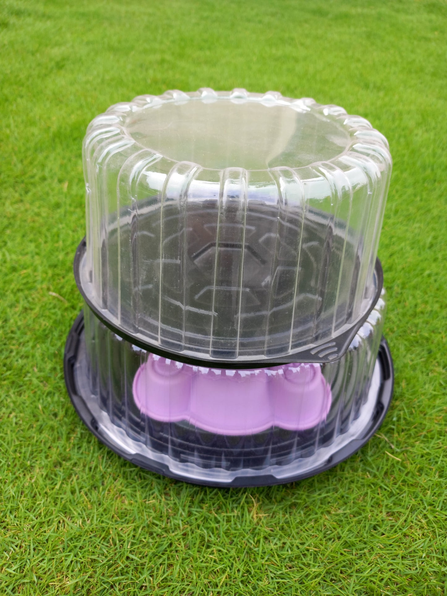 Black Disposable Transparent Cake Box 9' Height 6"