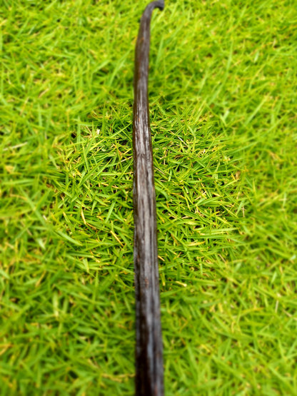 Original Madagascar Black  Vanilla Pod Stick