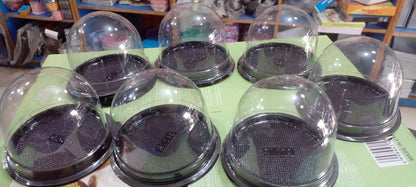 Black Disposable Dome Lid Single Cupcake Box 50pcs Pack