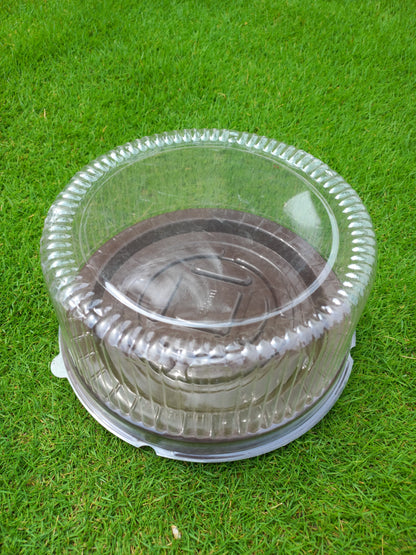 Brown Base Disposable Round Cake Clear Box
