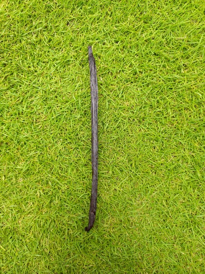 Original Madagascar Black  Vanilla Pod Stick