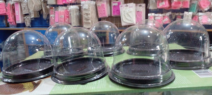 Black Disposable Dome Lid Single Cupcake Box 50pcs Pack