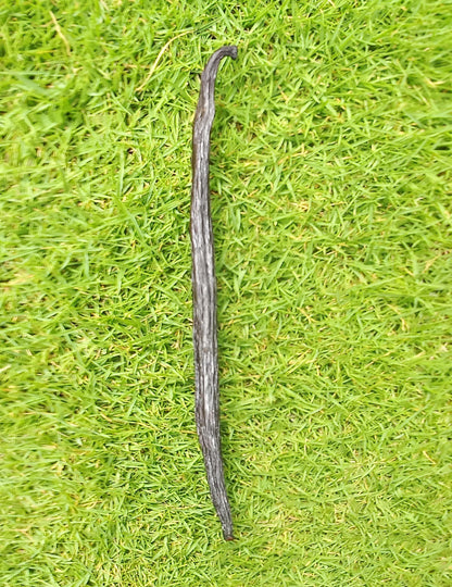 Original Madagascar Black  Vanilla Pod Stick