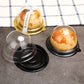 Black Disposable Dome Lid Single Cupcake Box 50pcs Pack