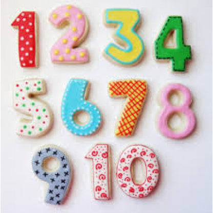 Stainless Still Numbes Cutter size 3.5" x 1"