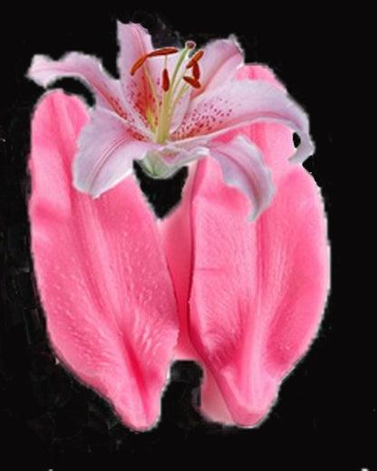 Silicon Lily Petal Veiner Fondant Mold