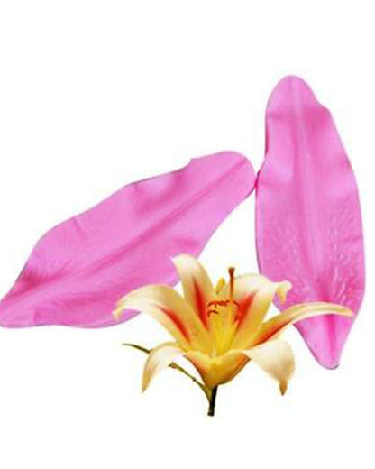 Silicon Lily Petal Veiner Fondant Mold